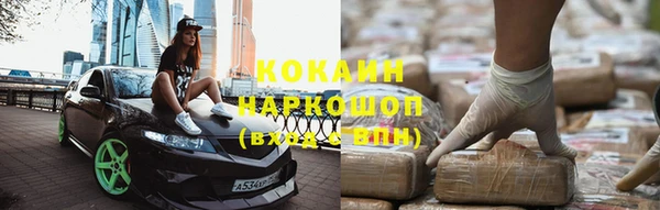индика Алексин
