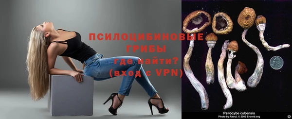 индика Алексин