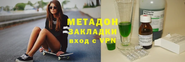 индика Алексин