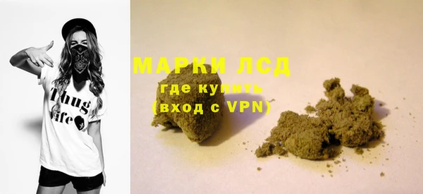 индика Алексин