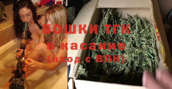 индика Алексин