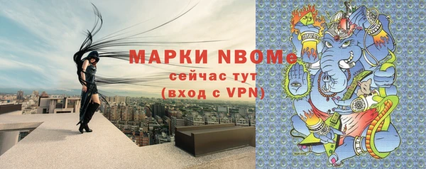 индика Алексин
