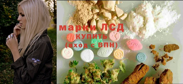 индика Алексин
