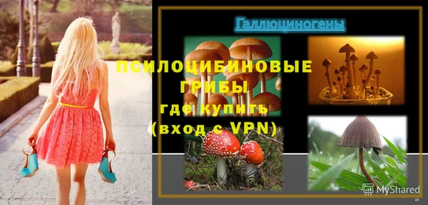 МДПВ Алексеевка