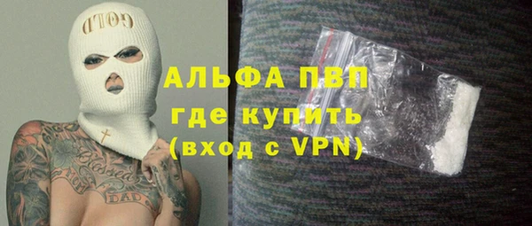индика Алексин