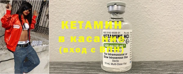 индика Алексин