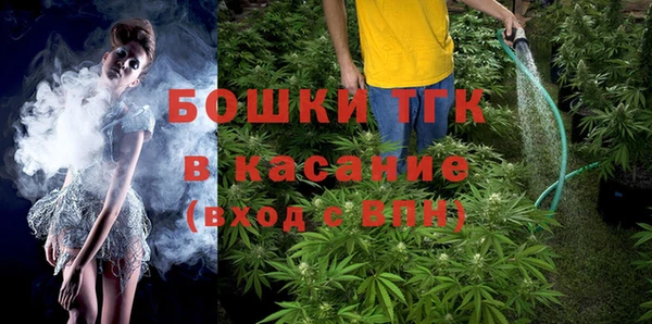 индика Алексин