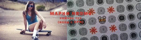 индика Алексин