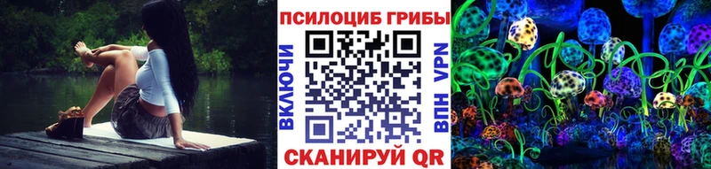 наркошоп  Шумиха  Галлюциногенные грибы GOLDEN TEACHER 