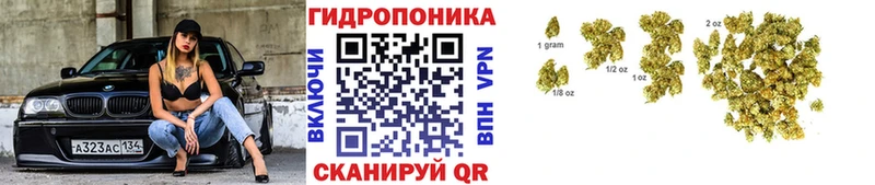цена наркотик Шумиха Канабис тримм